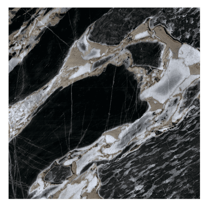 FOSSIL Marble flooring Porcelain tiles.