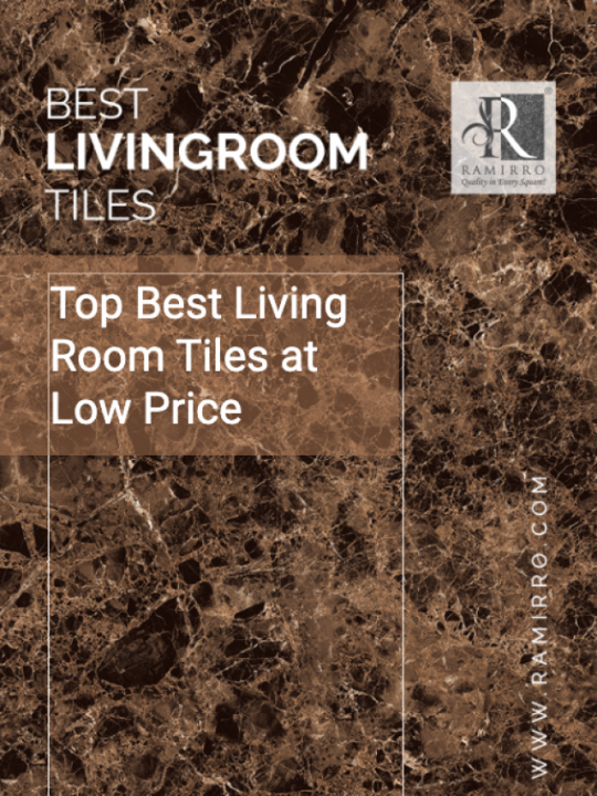 Top Best Living Room Tiles