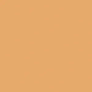 SANDAL - Brown Full Body Porcelain Tiles - Exclusive Design - Image 4