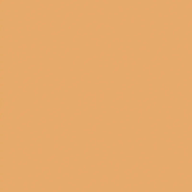 SANDAL - Brown Full Body Porcelain Tiles - Exclusive Design - Image 4