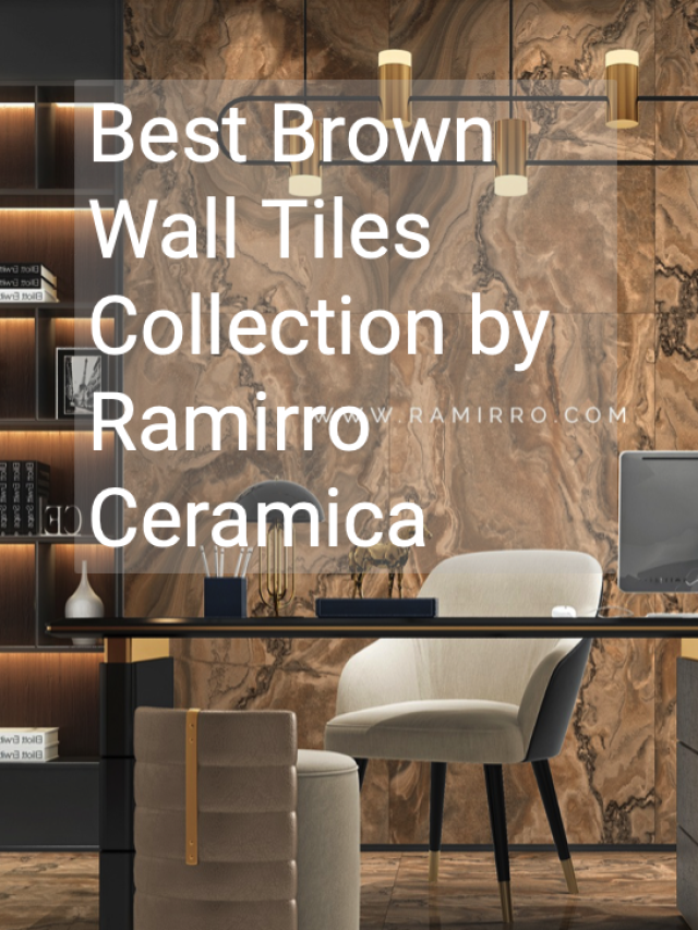 Best Brown Color Wall and Floor Tiles Combination 2023