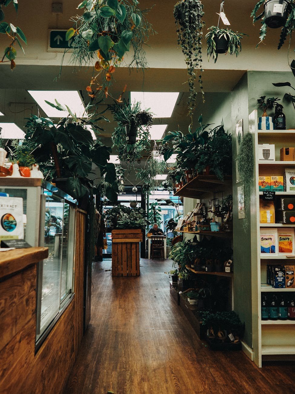 lush indoor plant store with wooden accents