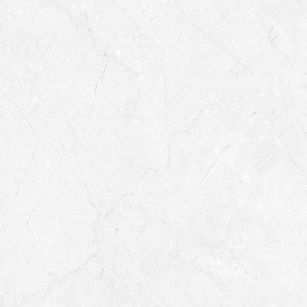FRENCH WHITE - Glossy Vitrified Tile | European Marble Look