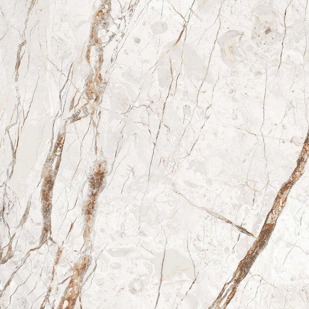 TEJA BROWN - Glossy Vitrified Tile | Rustic Look - Image 3